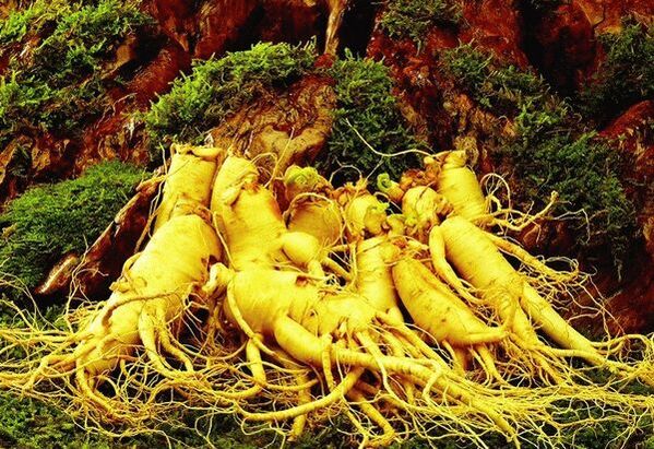 Droghe naturali per potenza