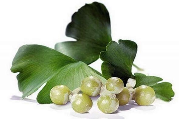 Il Ginkgo Biloba aumenta la potenza maschile