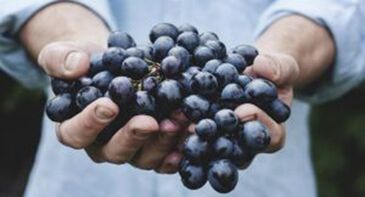 L'uva aiuta a rafforzare l'erezione